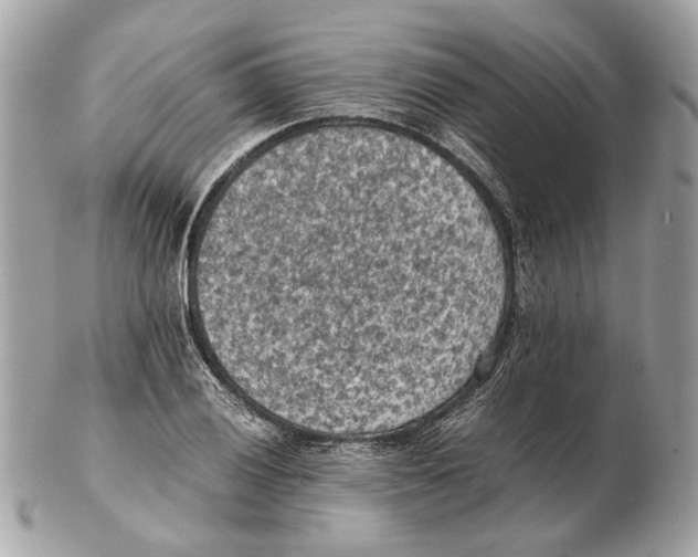 X0000102391028200808291419
