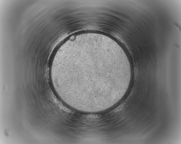 X0000102391029200808291419