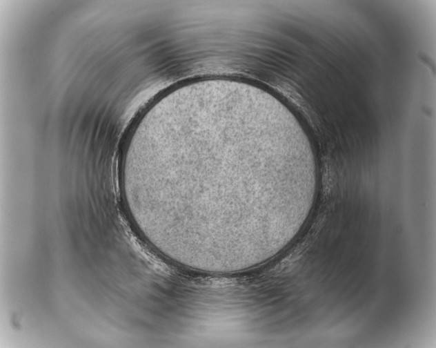 X0000102391030200808291419