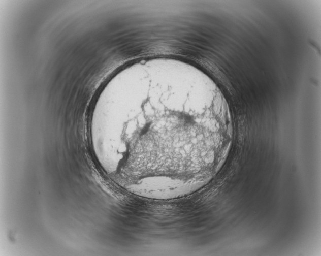 X0000102391031200808291419