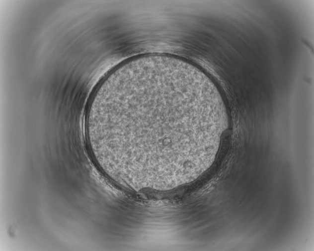X0000102391032200808291419