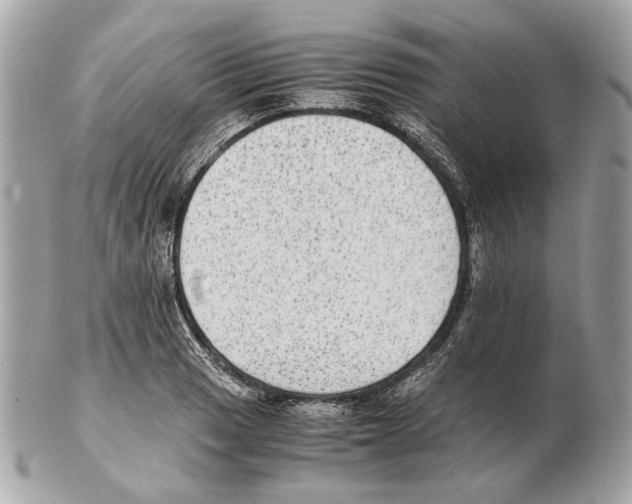 X0000102391033200808291419