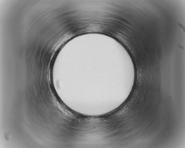 X0000102391034200808291419