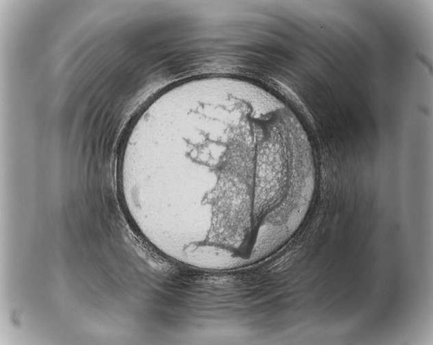 X0000102391035200808291419