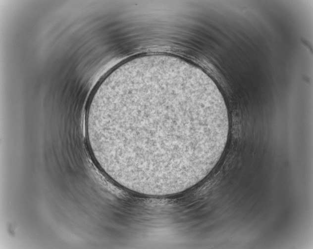 X0000102391036200808291419