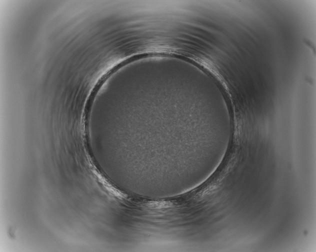 X0000102391037200808291419