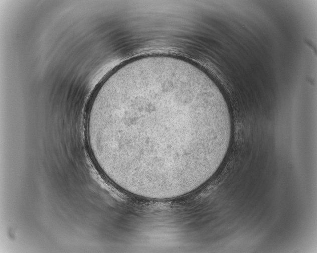 X0000102391038200808291419