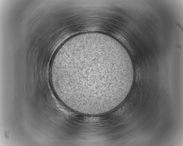 X0000102391039200808291419