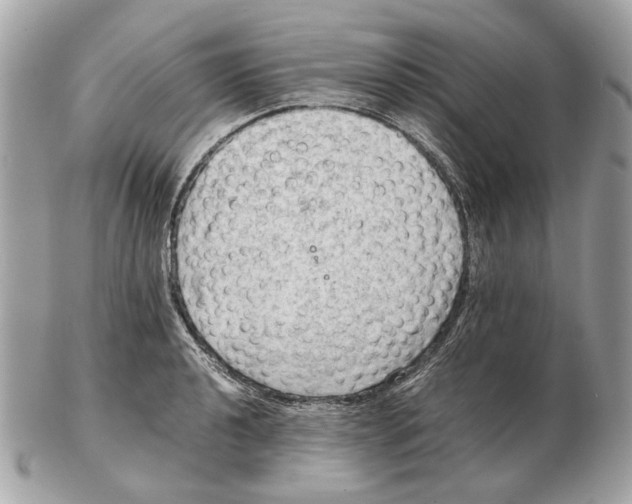 X0000102391040200808291419