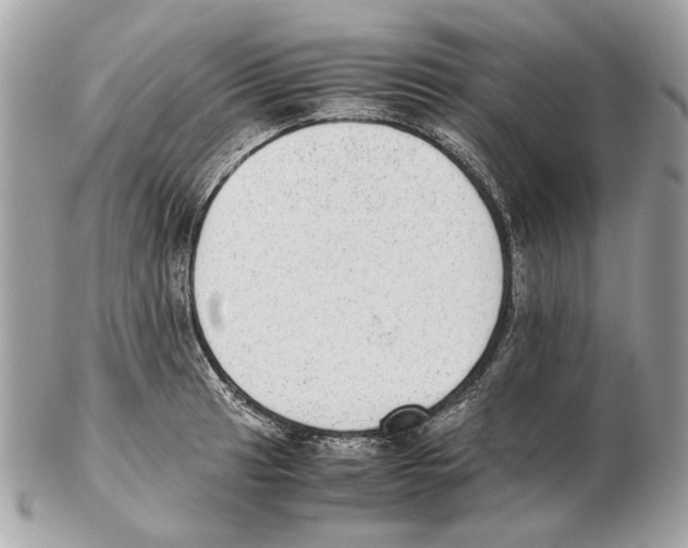 X0000102391041200808291419