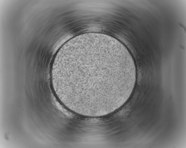 X0000102391042200808291419