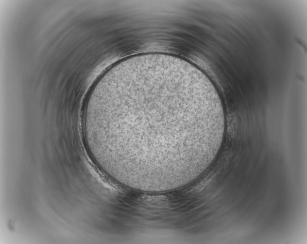 X0000102391043200808291419