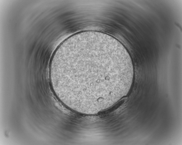 X0000102391044200808291419