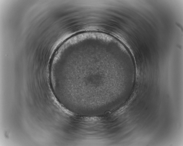 X0000102391045200808291419