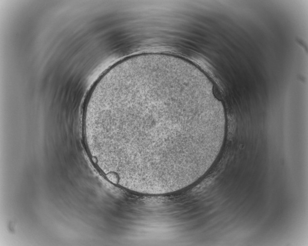 X0000102391046200808291419
