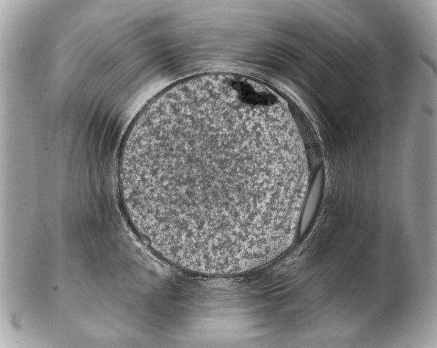 X0000102391048200808291419