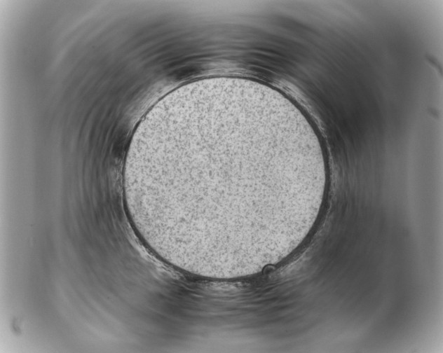 X0000102391049200808291419