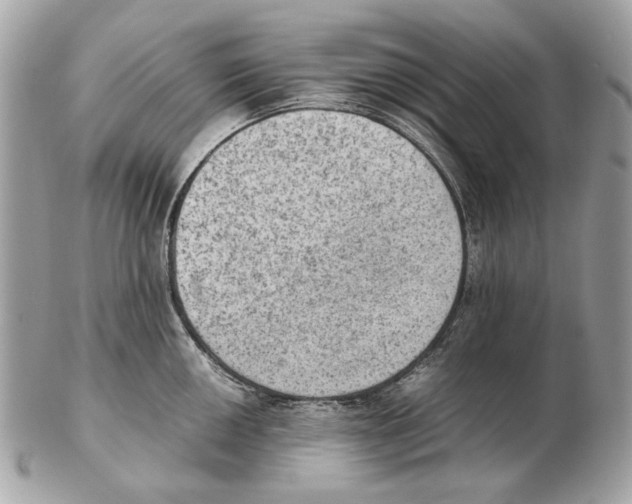 X0000102391050200808291419