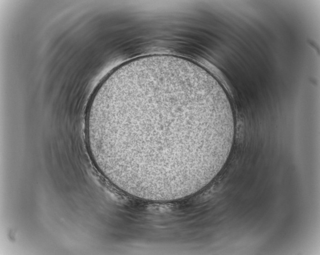 X0000102391051200808291419
