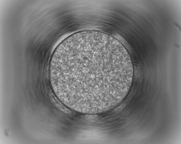 X0000102391052200808291419