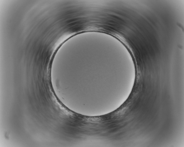 X0000102391053200808291419