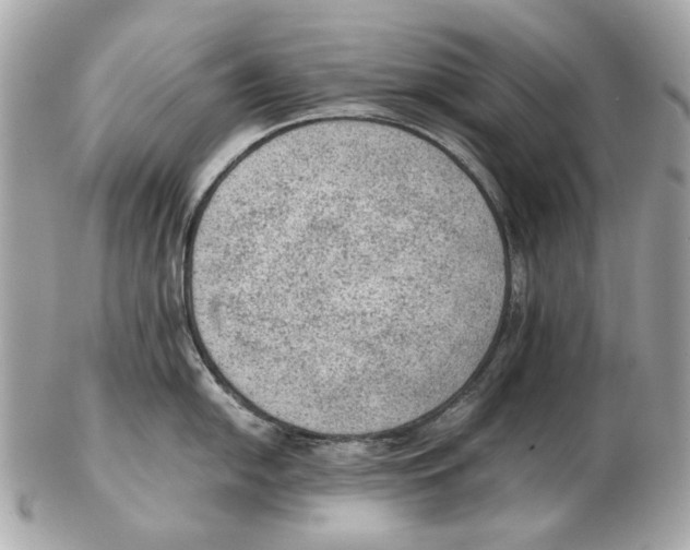 X0000102391054200808291419