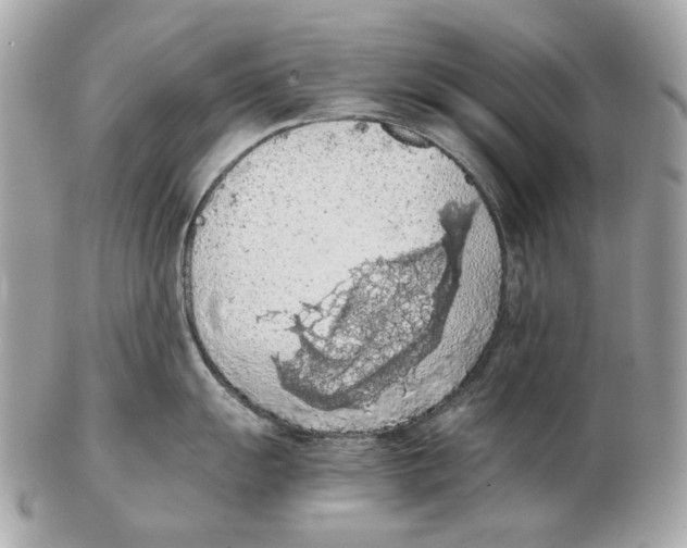 X0000102391055200808291419