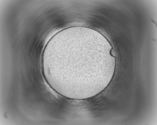 X0000102391056200808291419