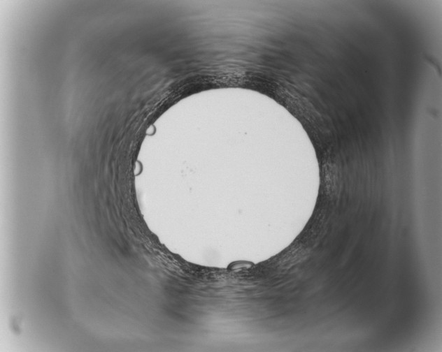 X0000102391057200808291418