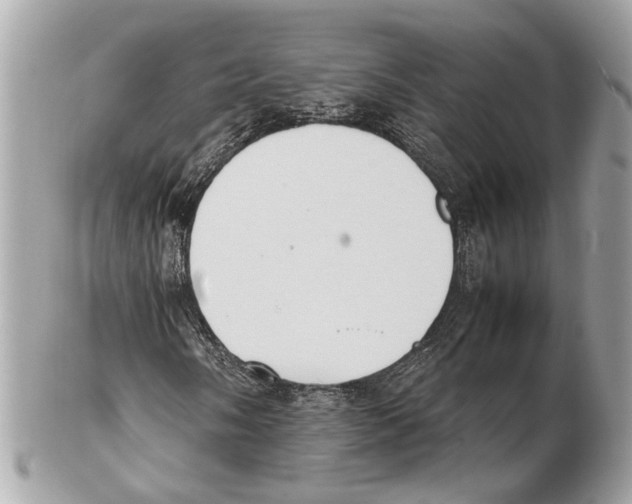 X0000102391058200808291418