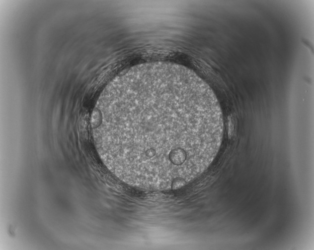 X0000102391059200808291418