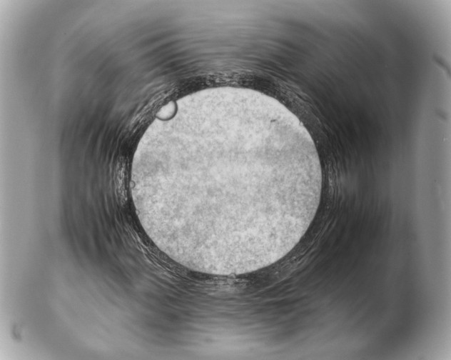 X0000102391060200808291418