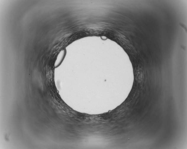X0000102391061200808291418