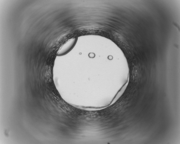 X0000102391062200808291418