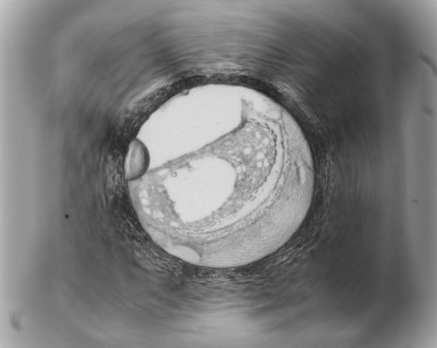 X0000102391063200808291418