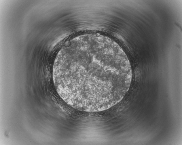X0000102391064200808291418