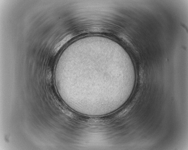 X0000102391065200808291418