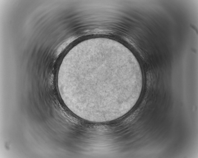 X0000102391066200808291418