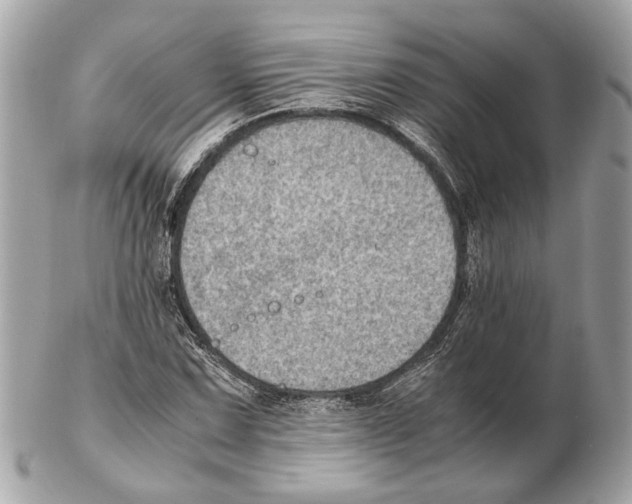 X0000102391067200808291418
