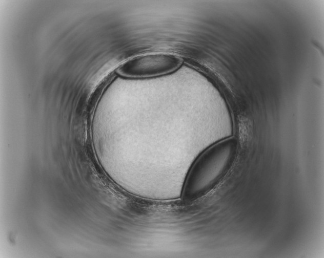 X0000102391069200808291418