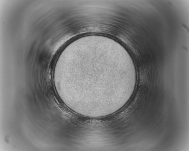 X0000102391070200808291418