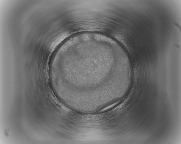 X0000102391071200808291418