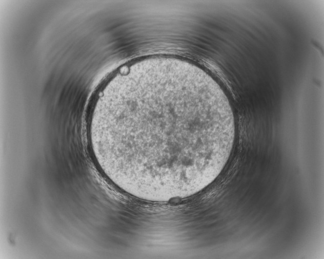X0000102391072200808291418
