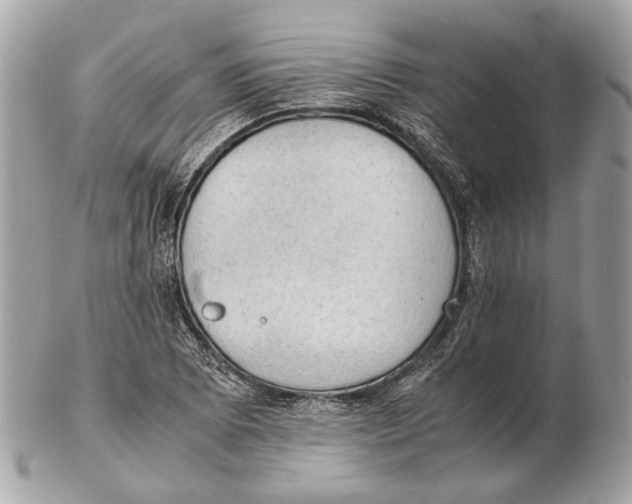 X0000102391073200808291418
