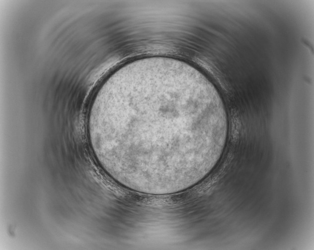 X0000102391074200808291418