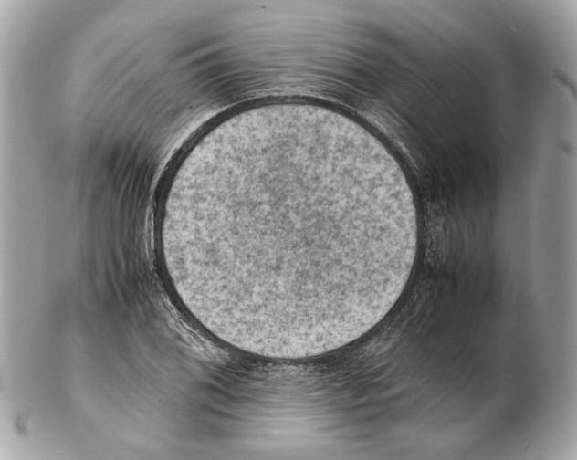 X0000102391076200808291418