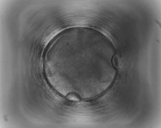 X0000102391077200808291418