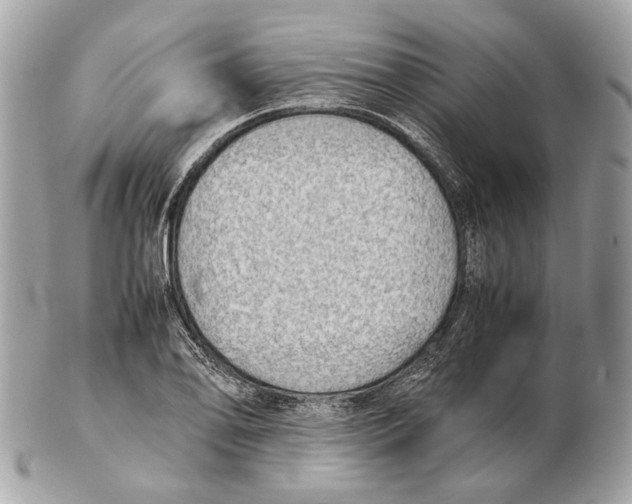 X0000102391078200808291418
