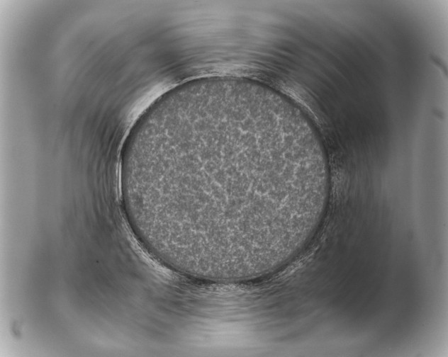 X0000102391079200808291418