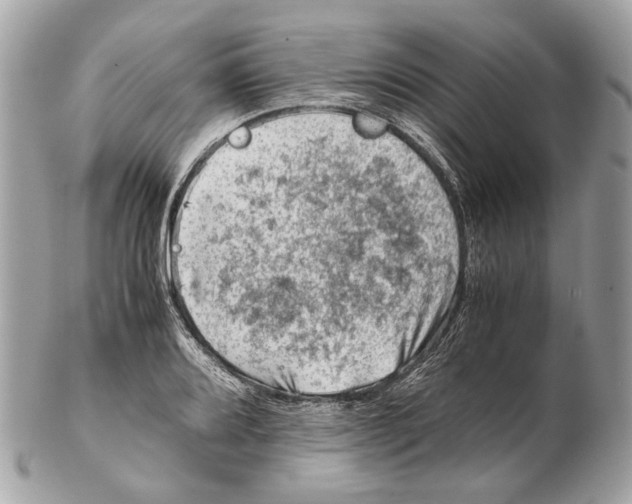 X0000102391080200808291418